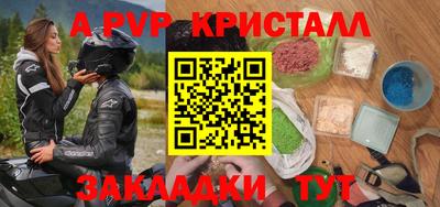 твердый Кингисепп
