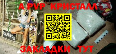 твердый Кингисепп