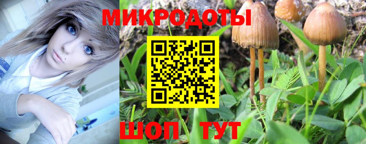 сколько стоит  Псилоцибиновые грибы MAGIC MUSHROOMS  Вход с VPN  Чехов 
